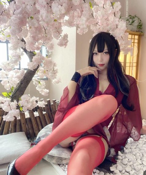 成化十四年电视剧免费观看