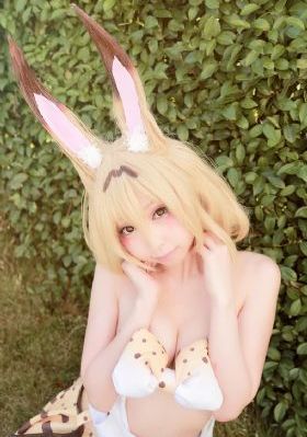 可可西里电影免费观看完整版